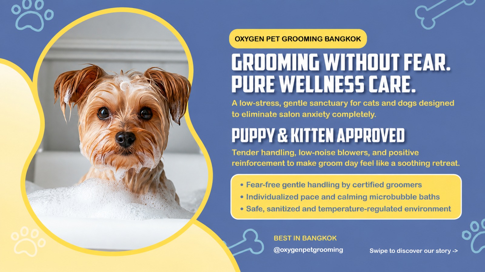 Why Oxygen Pet Grooming is Bangkok’s Premier Sanctuary for Sensitive and Anxious Pets